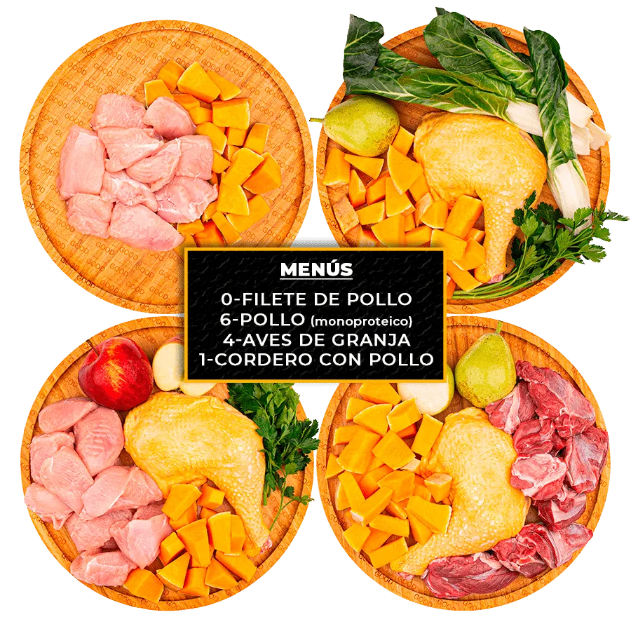 Nat's 0+ - Zero Plus (Pack iniciació)