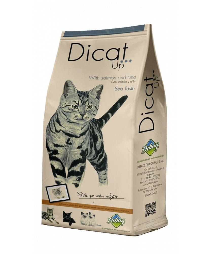 Dicat Up ADULT FISH&RICE